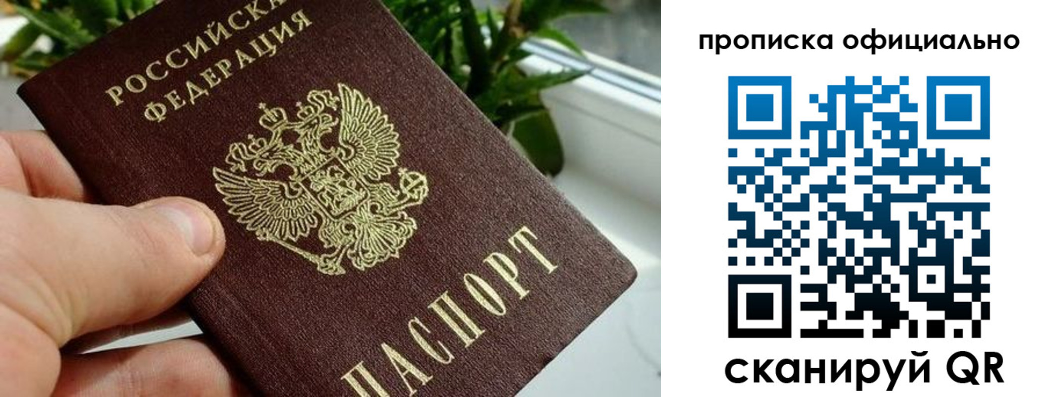 прописка поиск в Великом Новгороде