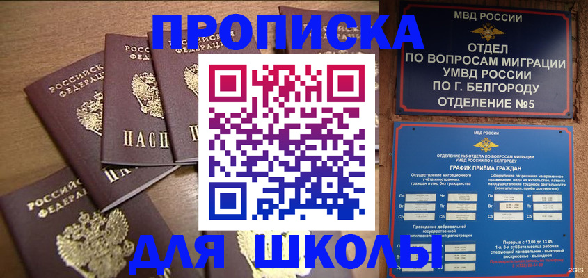 прописка гарантия в Великом Новгороде